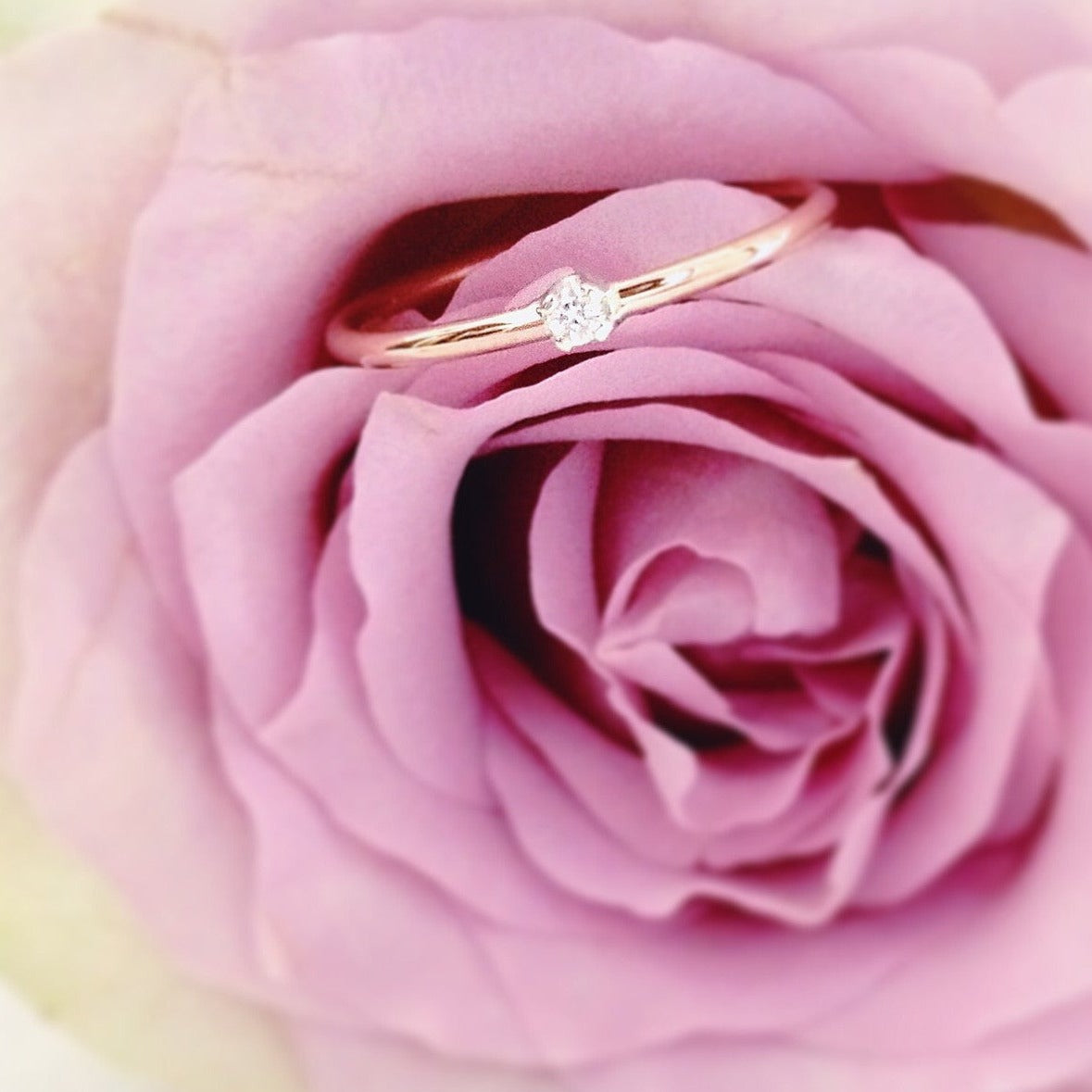 Valentine White Diamond ring | Alice Or Jewellery